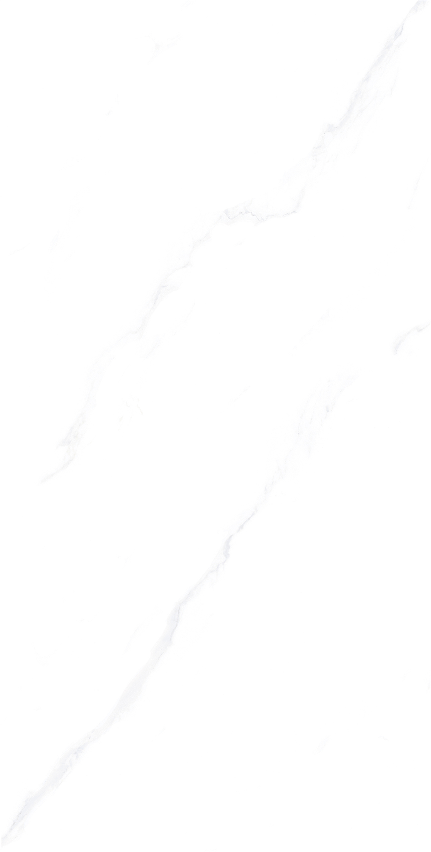 新瑞景陶瓷-RCF12118LRCF12118L