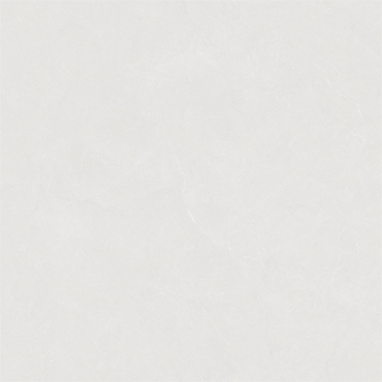 新瑞景陶瓷-RL88256RL88256