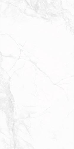 新瑞景陶瓷-RZ15916RZ15916