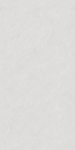 新瑞景陶瓷-RSP12501RSP12501