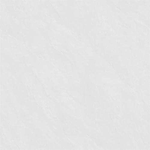 新瑞景陶瓷-RP88501柏尼斯