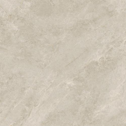 新瑞景陶瓷-RP88512RP88512