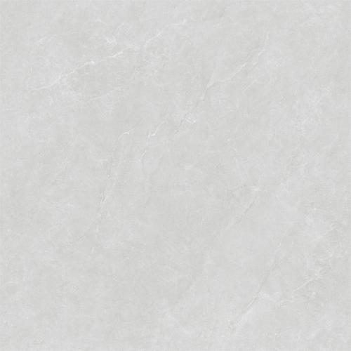 新瑞景陶瓷-RL88259JRL88259J