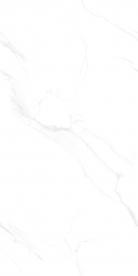 RCF12109任意連_02